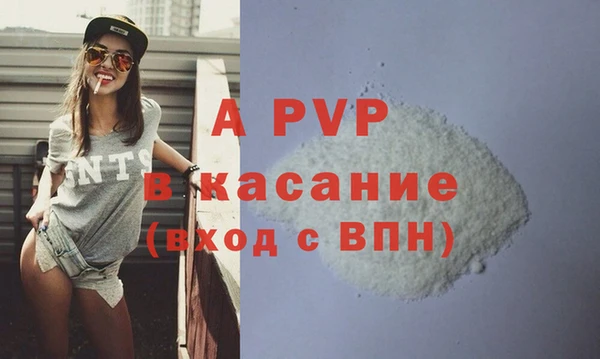 сатива Баксан