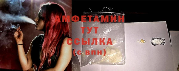 сатива Баксан