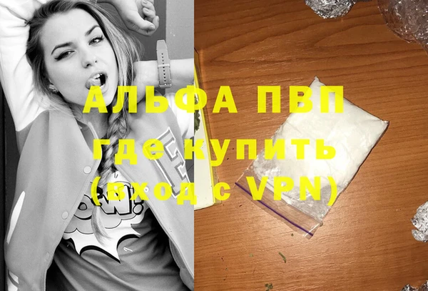 сатива Баксан