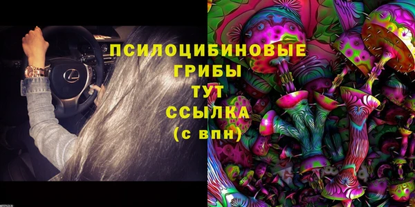 сатива Баксан
