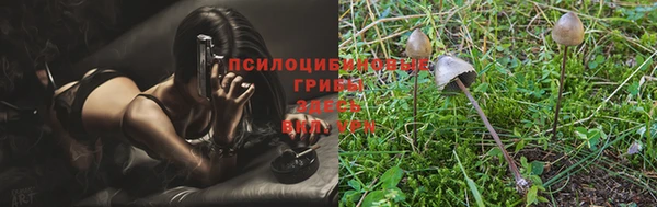 spice Балабаново