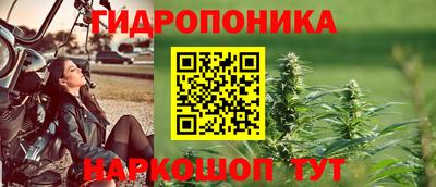 гидропоника Ирбит